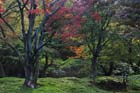 DSC_0686_Kyoto_Tofukuji