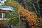 DSC_0690_Kyoto_Tofukuji