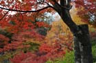 DSC_0735_Kyoto_Tofukuji