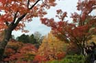 DSC_0737_Kyoto_Tofukuji