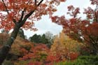 DSC_0739_Kyoto_Tofukuji