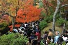 DSC_0786_Kyoto_Tofukuji