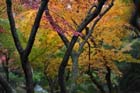 DSC_0840_Kyoto_Tofukuji