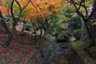 DSC_0849_Kyoto_Tofukuji