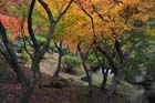 DSC_0850_Kyoto_Tofukuji