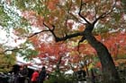 DSC_0889_Kyoto_Tofukuji