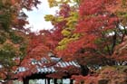 DSC_0902_Kyoto_Tofukuji