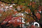 DSC_0906_Kyoto_Tofukuji