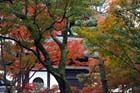 DSC_0907_Kyoto_Tofukuji