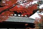 DSC_0912_Kyoto_Tofukuji