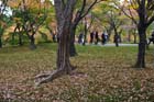 DSC_0914_Kyoto_Tofukuji