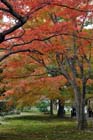 DSC_0918a_Kyoto_Tofukuji