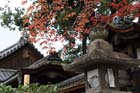 DSC_0979_Kyoto_FushimiInariShrine