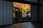 DSC_1185_Kyoto_Shoren-in