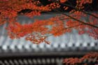 DSC_1230_Kyoto_Nanzenji