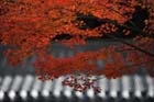 DSC_1231_Kyoto_Nanzenji