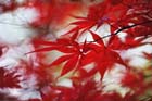 DSC_1253_Kyoto_Nanzenji