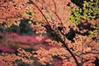 DSC_1266_Kyoto_Nanzenji