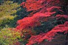 DSC_1276_Kyoto_Nanzenji