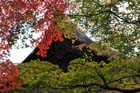 DSC_1289_Kyoto_Nanzenji