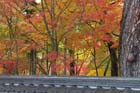 DSC_1310_Kyoto_Eikando-Zenrinji
