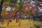 DSC_1352_Kyoto_Eikando-Zenrinji