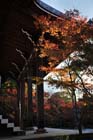 DSC_1388a_Kyoto_Eikando-Zenrinji