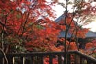 DSC_1407_Kyoto_Eikando-Zenrinji