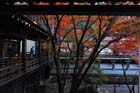 DSC_1457_Kyoto_Eikando-Zenrinji