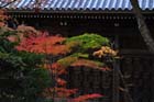 DSC_1504_Kyoto_Eikando-Zenrinji