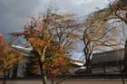 DSC_1628_Kyoto_DaigoJi