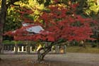 DSC_1635_Kyoto_DaigoJi