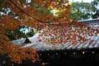 DSC_1647_Kyoto_DaigoJi