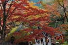 DSC_1859_Kyoto_Kurama