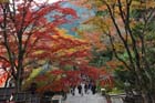DSC_1860_Kyoto_Kurama