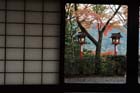 DSC_1866_Kyoto_Kurama