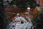 DSC_1926_Kyoto_Ohara