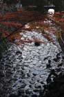 DSC_1927_Kyoto_Ohara