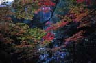 DSC_1928_Kyoto_Ohara