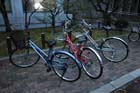 DSC_2034_Kyoto_KyotoUniversity
