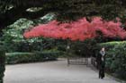 DSC_2053_Okayama_Korakuen