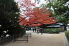 DSC_2059_Okayama_Korakuen