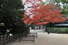 DSC_2060_Okayama_Korakuen