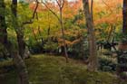 DSC_2071_Okayama_Korakuen