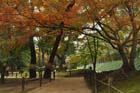 DSC_2096_Okayama_Korakuen