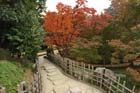 DSC_2124_Okayama_Korakuen