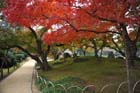DSC_2159_Okayama_Korakuen