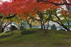 DSC_2170_Okayama_Korakuen