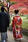 DSC_2200_Okayama_Korakuen