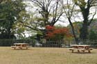 DSC_2214_Okayama_Korakuen